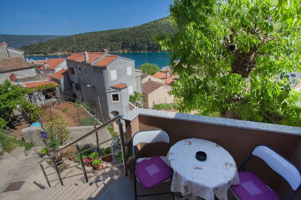 Apartment Surdic Valun Guest house